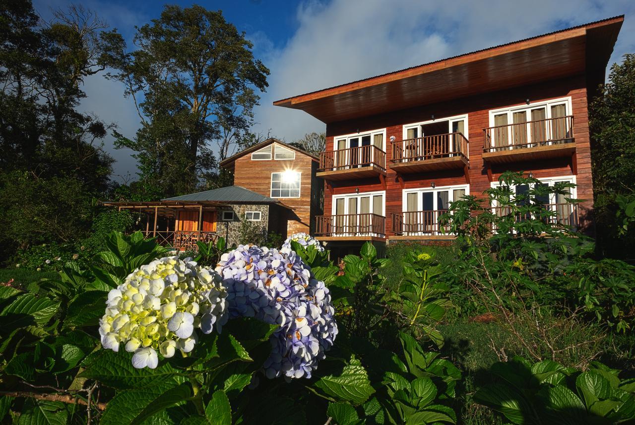 Hotel Bosque Verde Lodge Monteverde Room photo