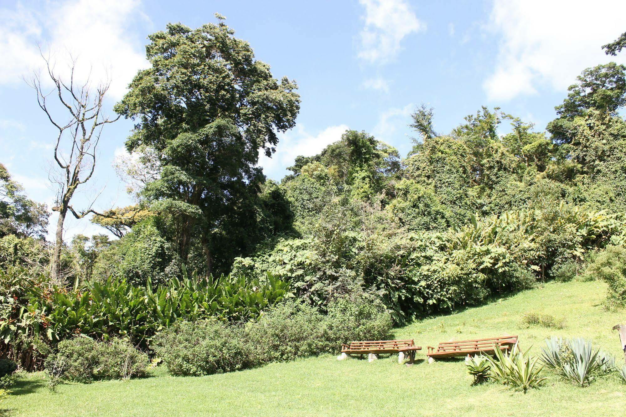 Hotel Bosque Verde Lodge Monteverde Exterior photo